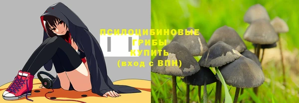 прущие грибы Балахна
