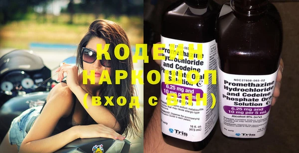 прущие грибы Балахна