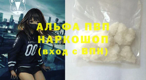 прущие грибы Балахна