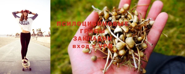 прущие грибы Балахна